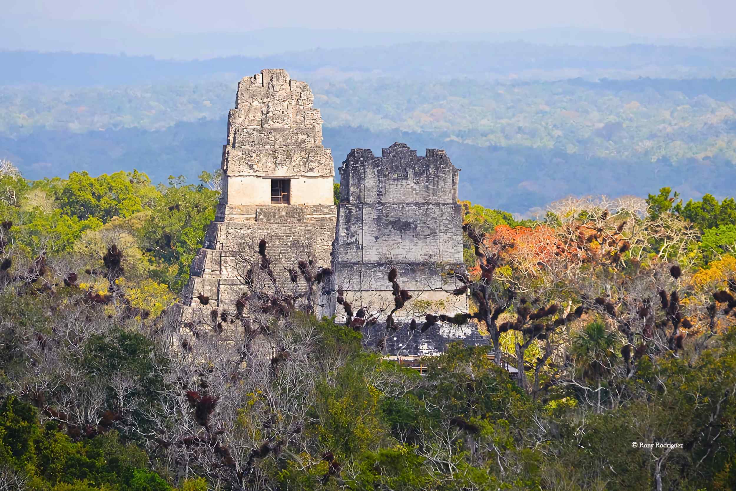 &quot;Maya Trek: La Expedición Definitiva de Aventura y Arqueología en la Selva&quot;